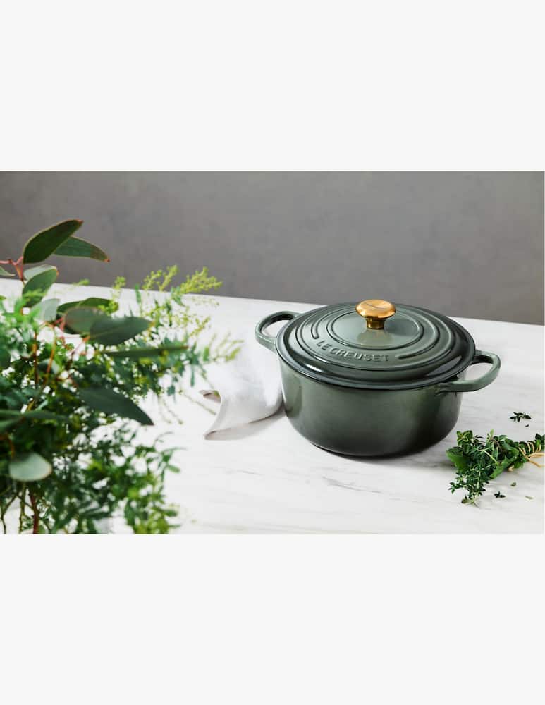 rinascente Le Creuset Cocotte Rotonda Evolution 20cm Verde Timo