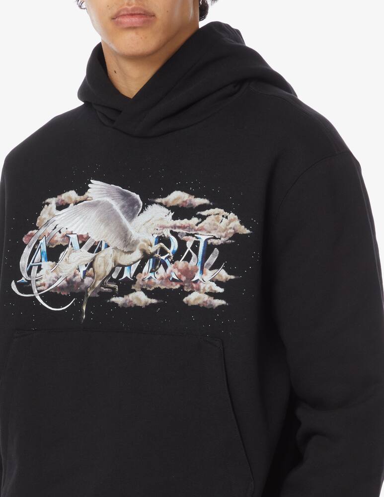 rinascente Amiri Pegasus script hoodie