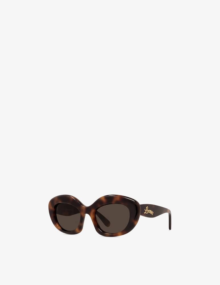 LOEWE Curvy Havana Cat Occhiali da sole - immagine 1 LOEWE Curvy Havana Cat Occhiali da sole - immagine 1