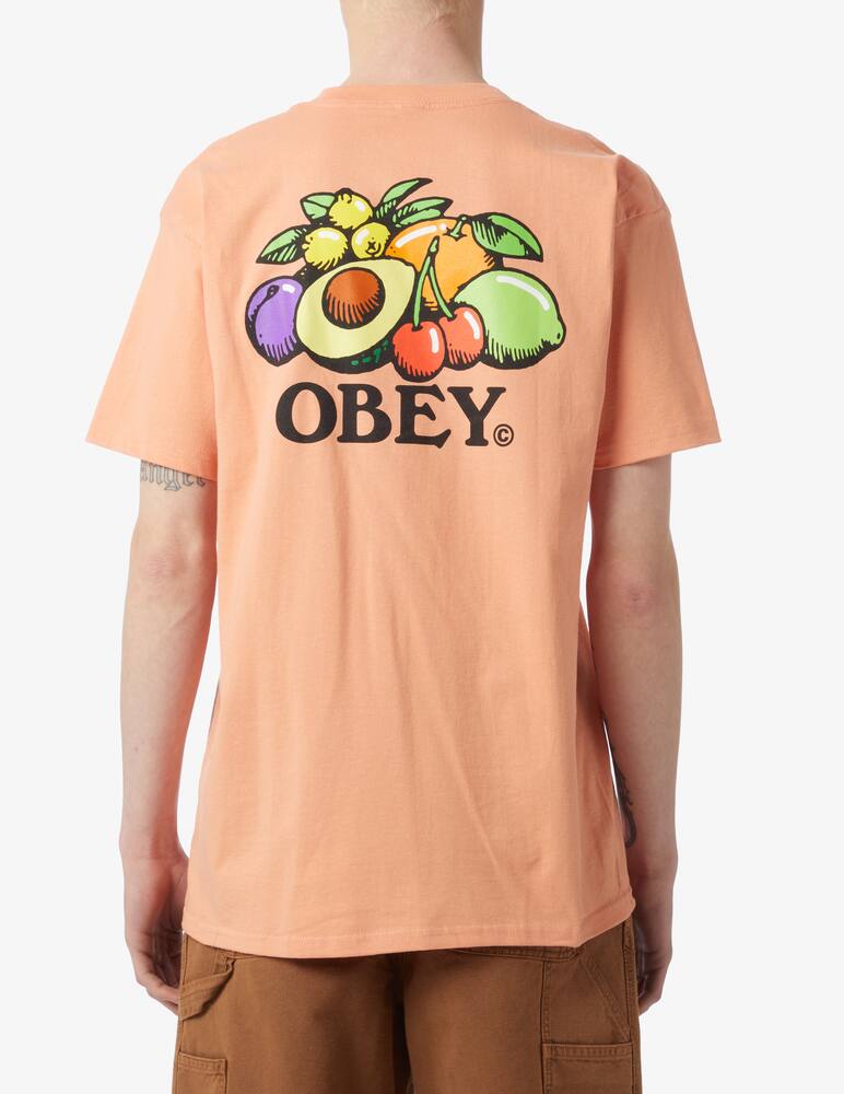 rinascente Obey Maglietta bowl of fruit classic