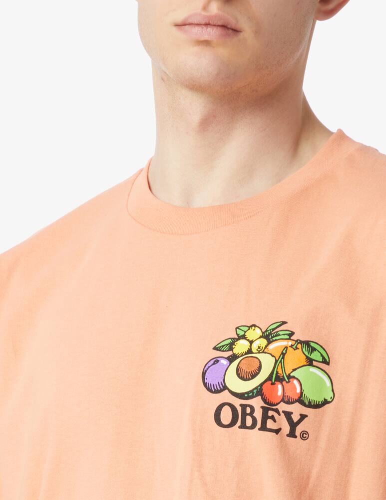 rinascente Obey Maglietta bowl of fruit classic