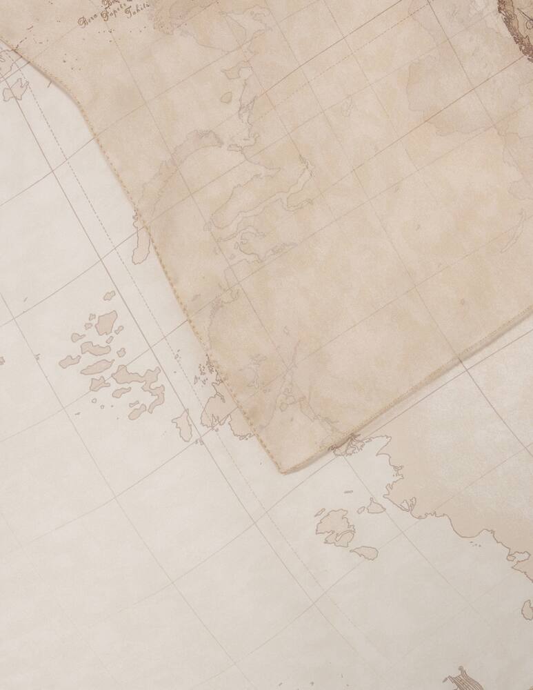 rinascente Alviero Martini Foulard stampa