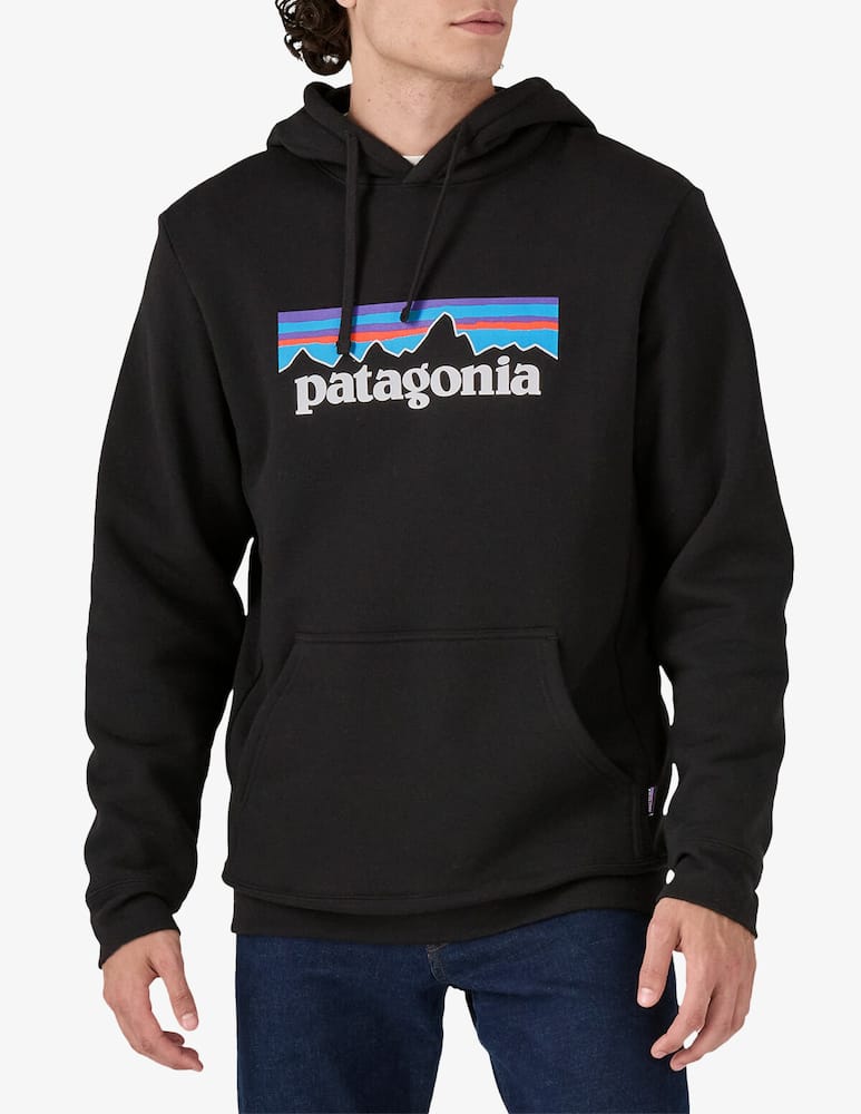 Patagonia Felpa cappuccio P-6 - immagine 1 Patagonia Felpa cappuccio P-6 - immagine 1