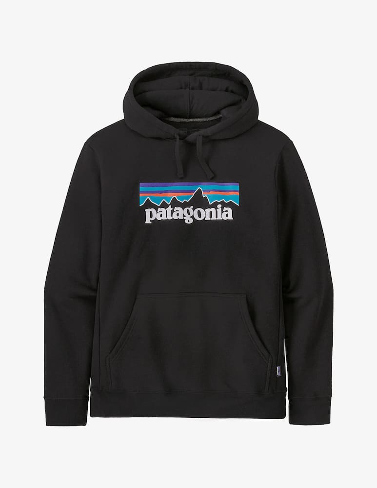 rinascente Patagonia Felpa cappuccio P-6