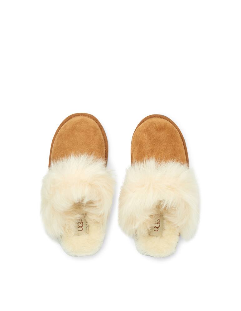 UGG Pantofola Scuff Sis - immagine 3 UGG Pantofola Scuff Sis - immagine 3