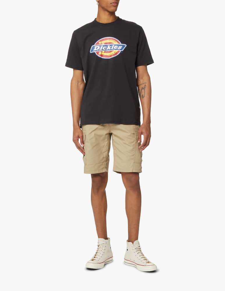 rinascente Dickies Icon big logo t-shirt - black