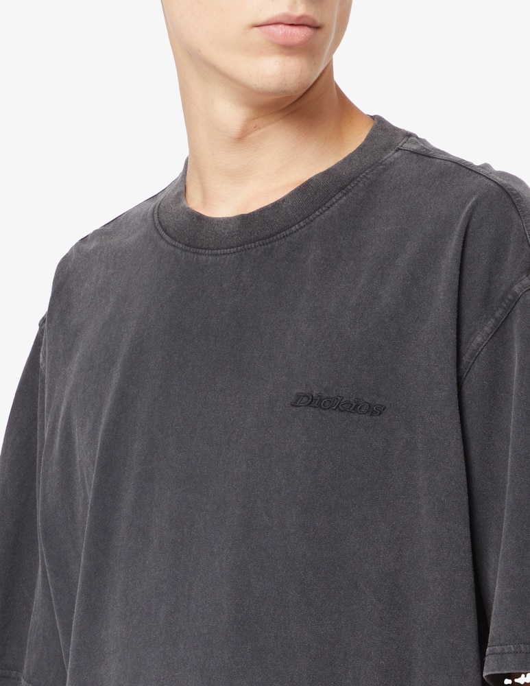 Dickies Plentywood logo t-shirt - picture 4 Dickies Plentywood logo t-shirt - picture 4