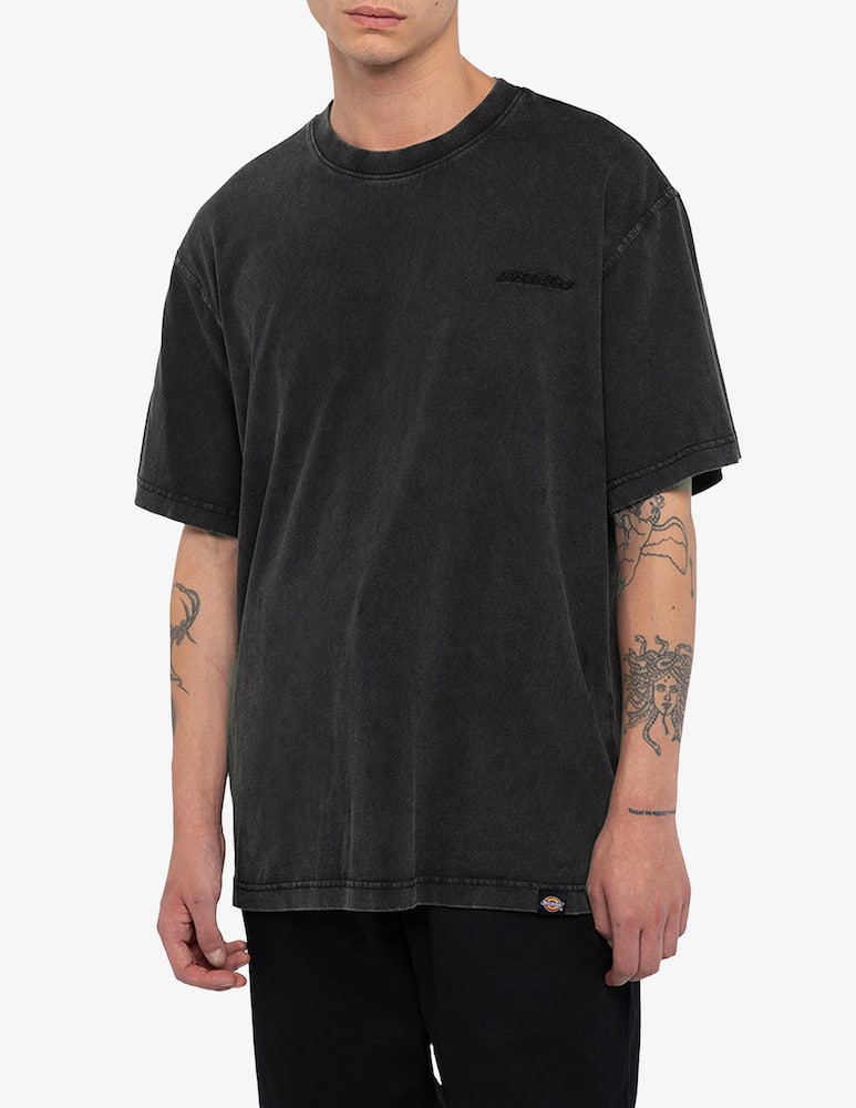 Dickies Plentywood logo t-shirt - picture 1 Dickies Plentywood logo t-shirt - picture 1