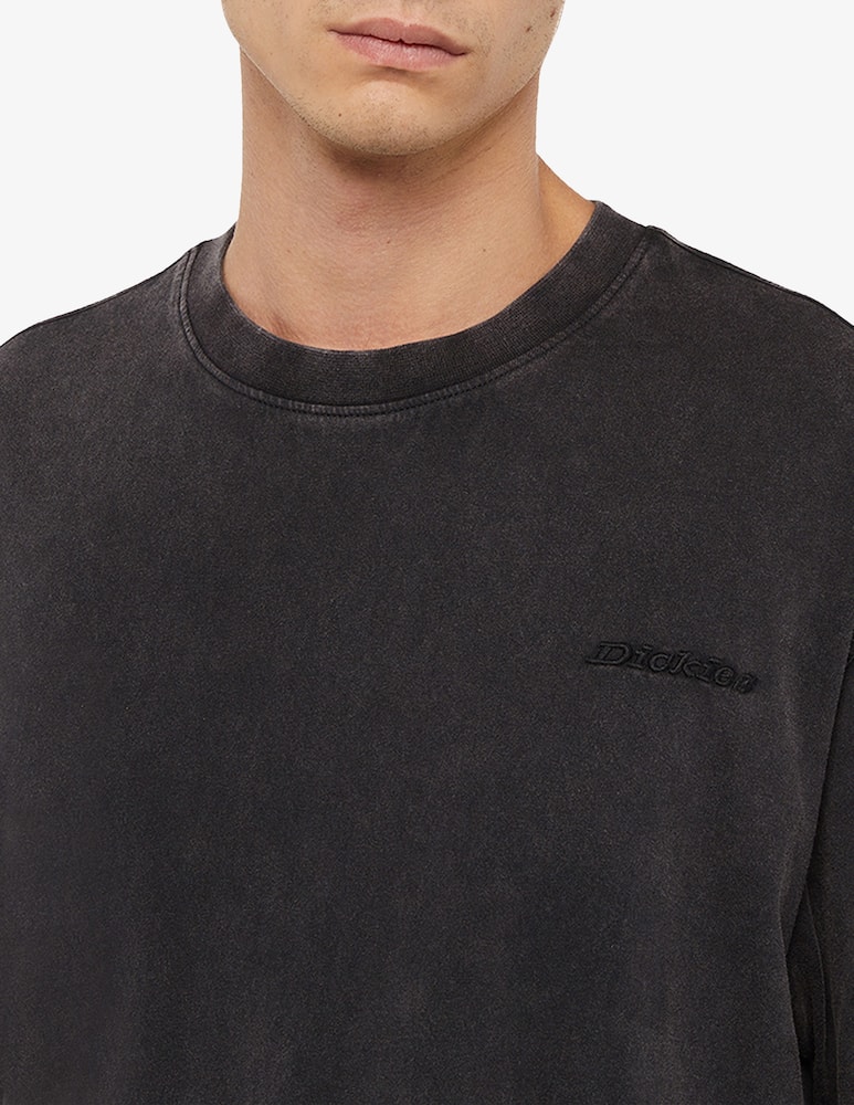Dickies Plentywood logo t-shirt - picture 3 Dickies Plentywood logo t-shirt - picture 3