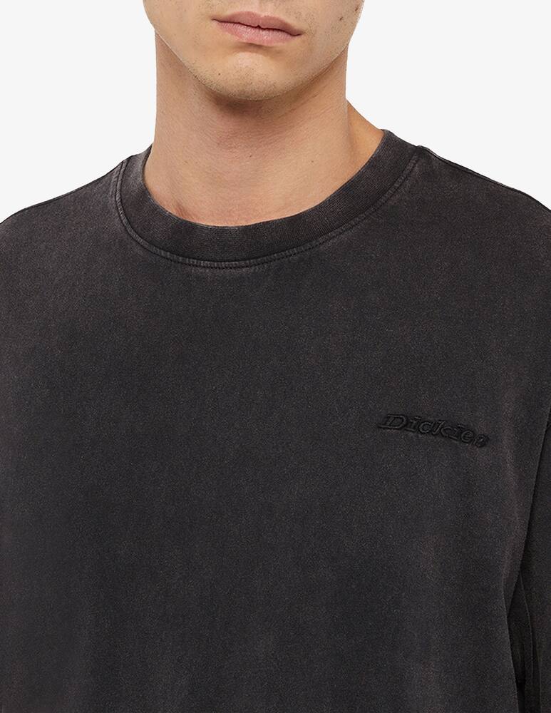 rinascente Dickies Felpa con cappuccio Plentywood