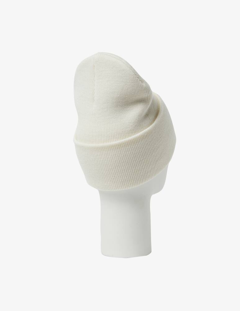 rinascente Dickies Gibsland beanie