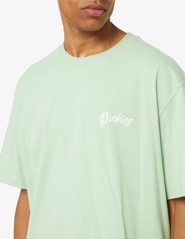 rinascente Dickies T-shirt dighton logo back