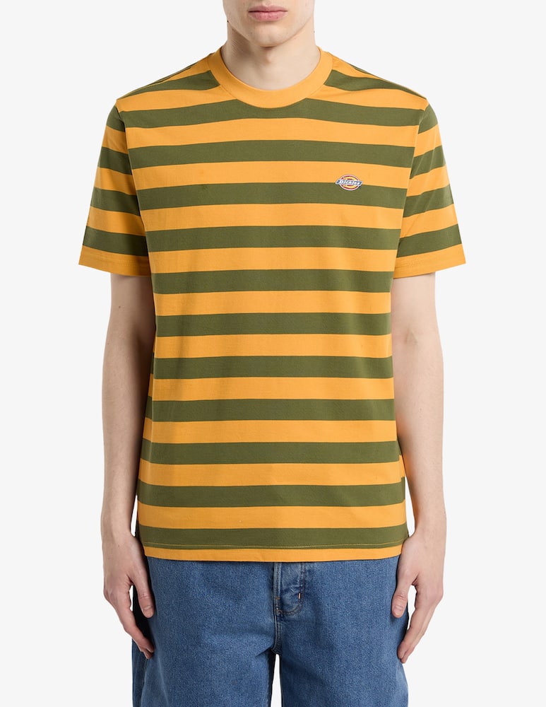 rinascente Dickies T-shirt Rivergrove a righe