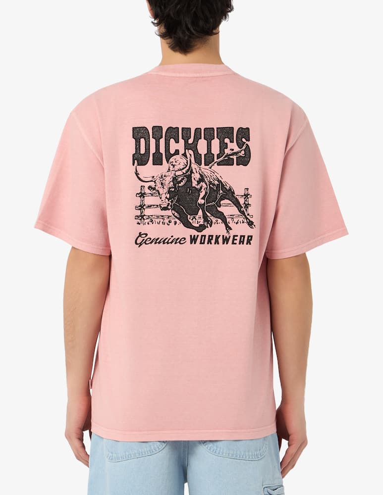 Dickies T-shirt Buchtell - immagine 3