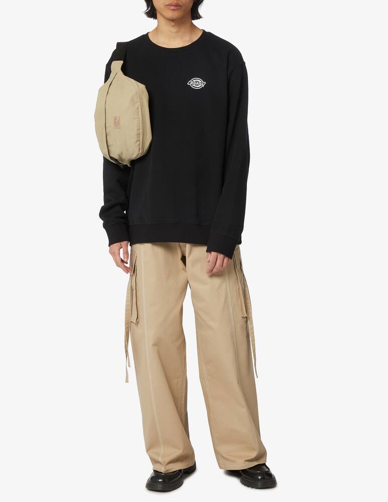 rinascente Dickies Dick duck canvas cross body