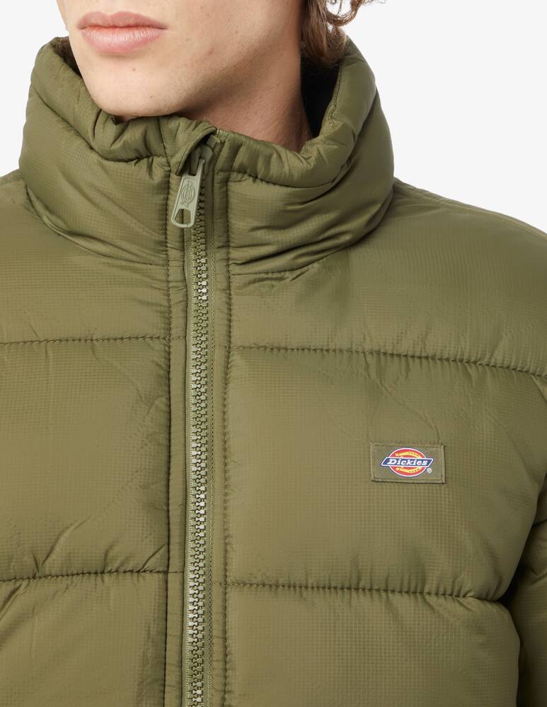 Dickies Giacca imbottita - Verde - immagine 4 Dickies Giacca imbottita - Verde - immagine 4