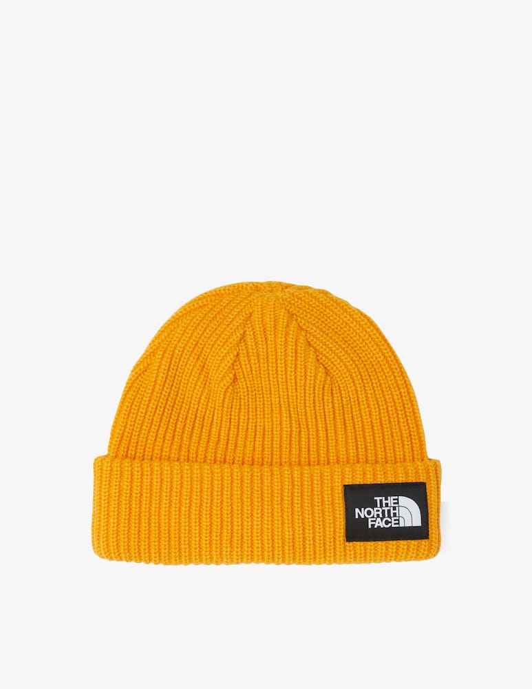 The North Face Cappello beanie salty dog lined - immagine 2 The North Face Cappello beanie salty dog lined - immagine 2