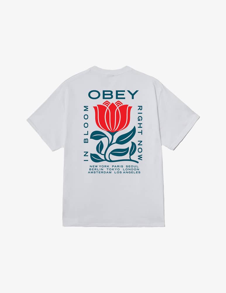 rinascente Obey T-shirt in bloom