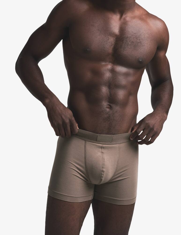 rinascente SKIMS Cotton 3 pack boxer brief 3 inch