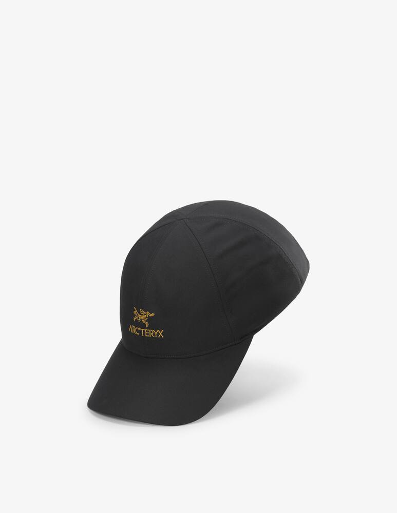 rinascente Arc'teryx Bird word cap