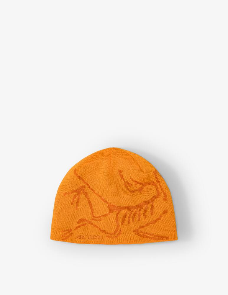 rinascente Arc'teryx Bird head toque