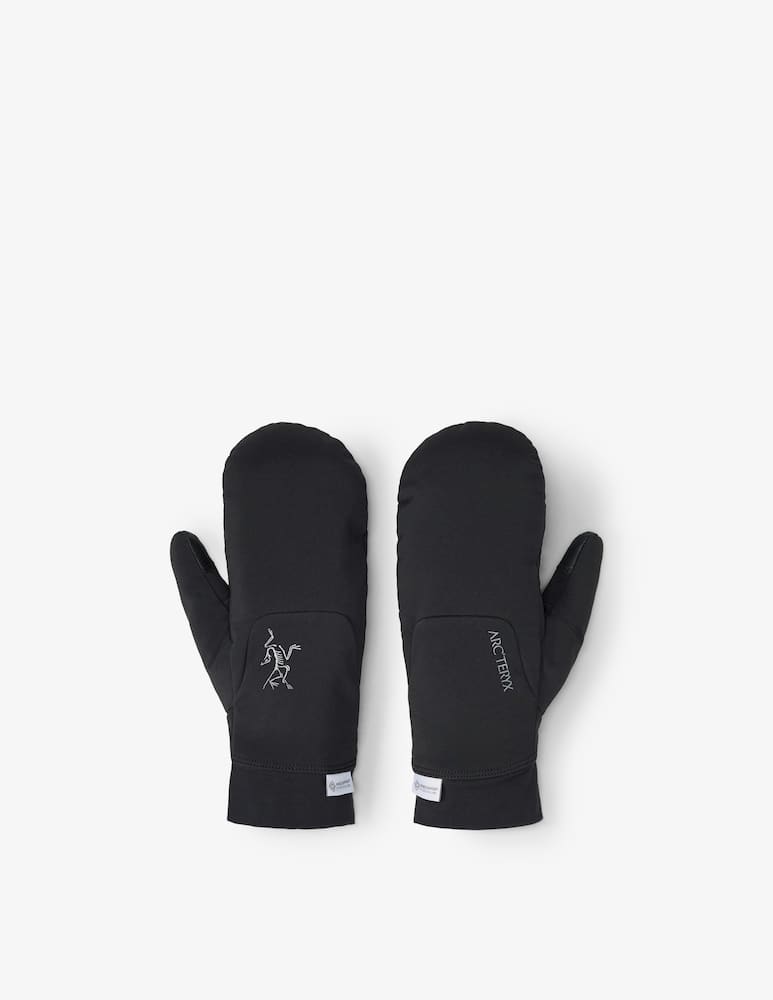 rinascente Arc'teryx Guanti imbottiti Venta