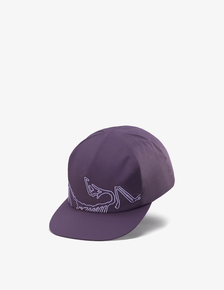 rinascente Arc'teryx Silex logo cap