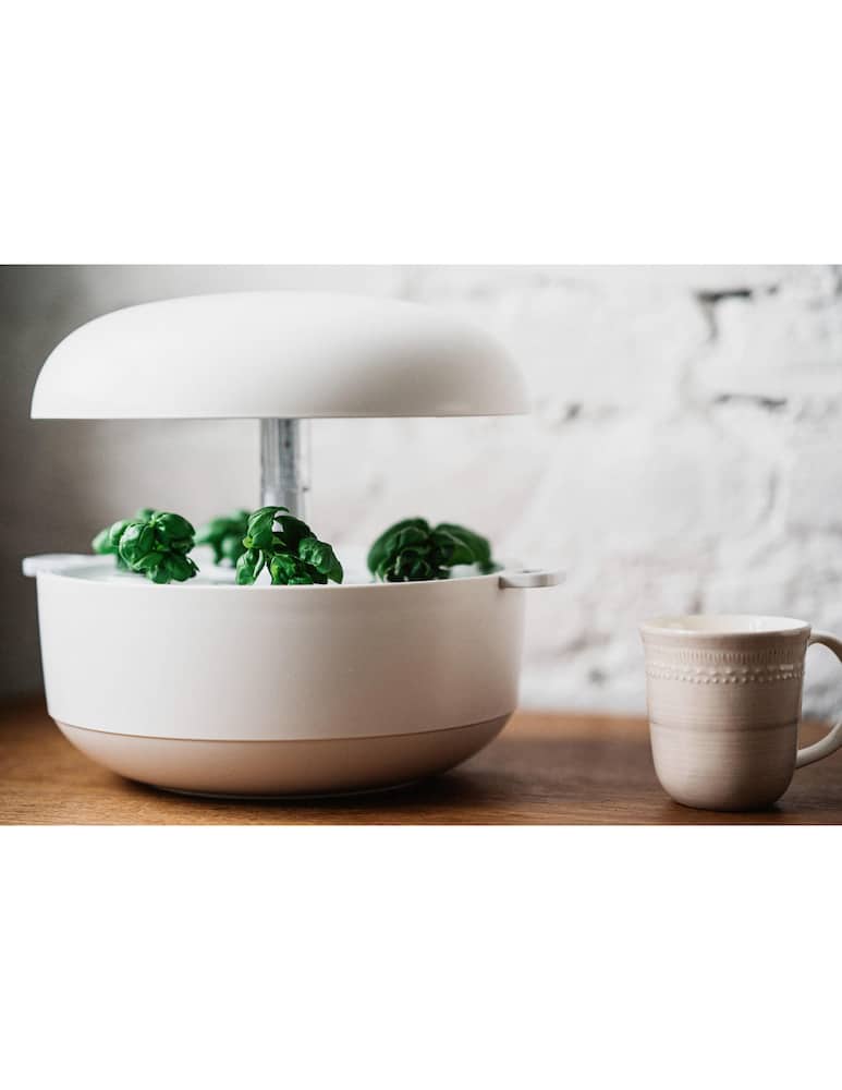 rinascente Plantui 6 Smart Garden giardino idroponico