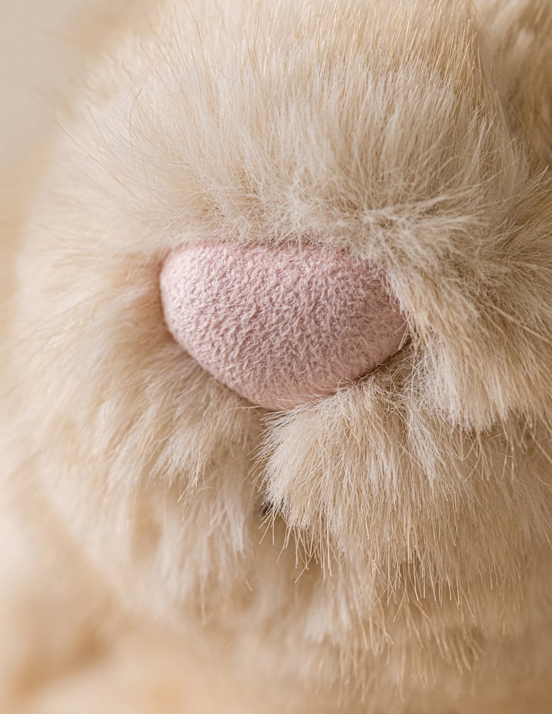 Jellycat Peluche Franilla Luxe Bunny Original - picture 6 Jellycat Peluche Franilla Luxe Bunny Original - picture 6