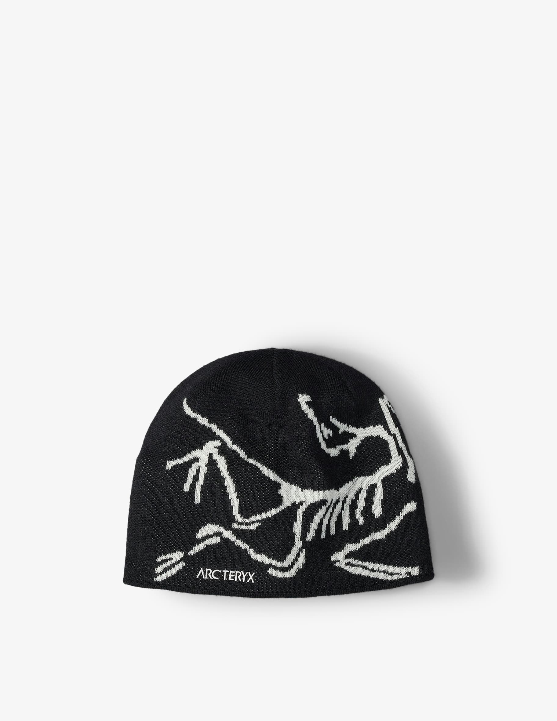 ARC'TERYX BIRD HEAD TOQUE RUNE / ARCTIC SILK - Berretto sci