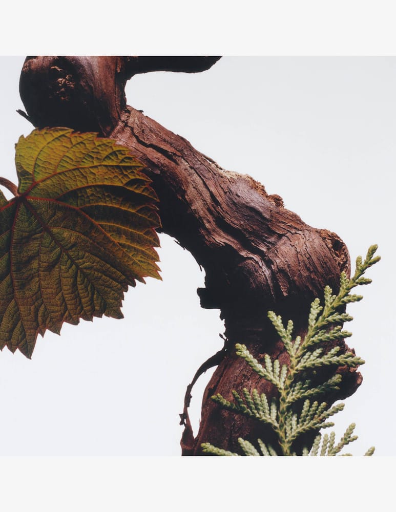 rinascente Jo Malone London Cologne Intense Cypress & Grapevine