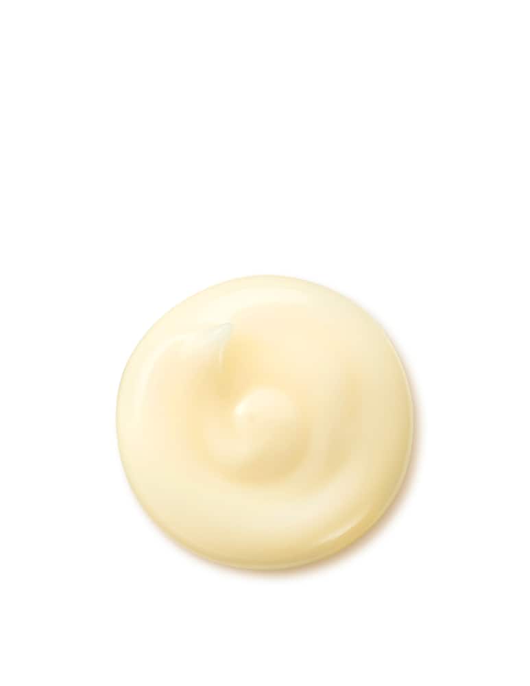Shiseido Benefiance Wrinkle Smoothing Cream - picture 3 Shiseido Benefiance Wrinkle Smoothing Cream - picture 3