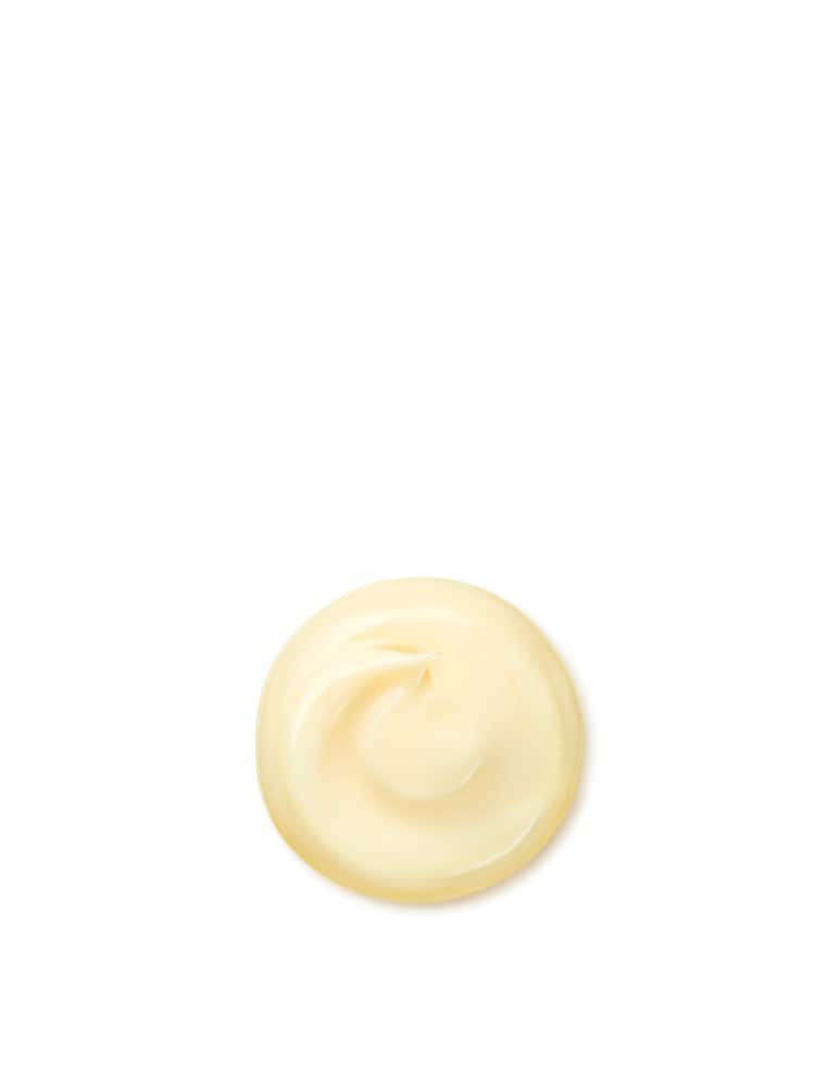 Shiseido Benefiance Wrinkle Smoothing Cream Enriched - immagine 3 Shiseido Benefiance Wrinkle Smoothing Cream Enriched - immagine 3