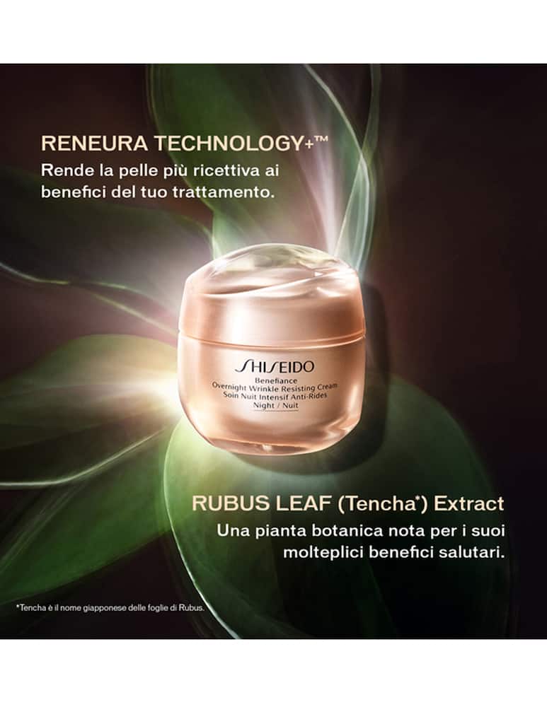 Shiseido Overnight Wrinkle Resisting Cream - immagine 4 Shiseido Overnight Wrinkle Resisting Cream - immagine 4