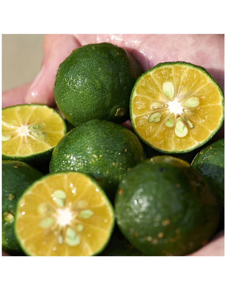 rinascente Shiseido Waso Gel-To-Oil Cleanser Detergente Viso