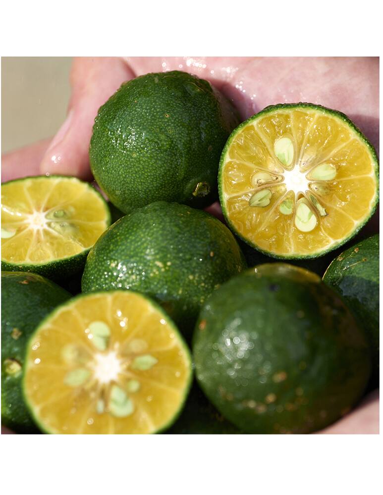 rinascente Shiseido Waso Color Control Oil-Free Moisturizer Crema Colorata