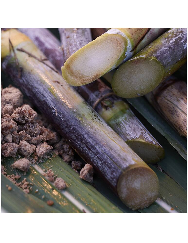 rinascente Shiseido Waso Pore Purifying Scrub Mask Maschera Purificante