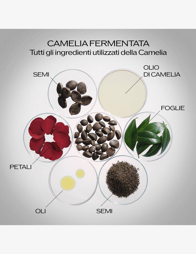 rinascente Shiseido Ultimune Power Infusing Serum