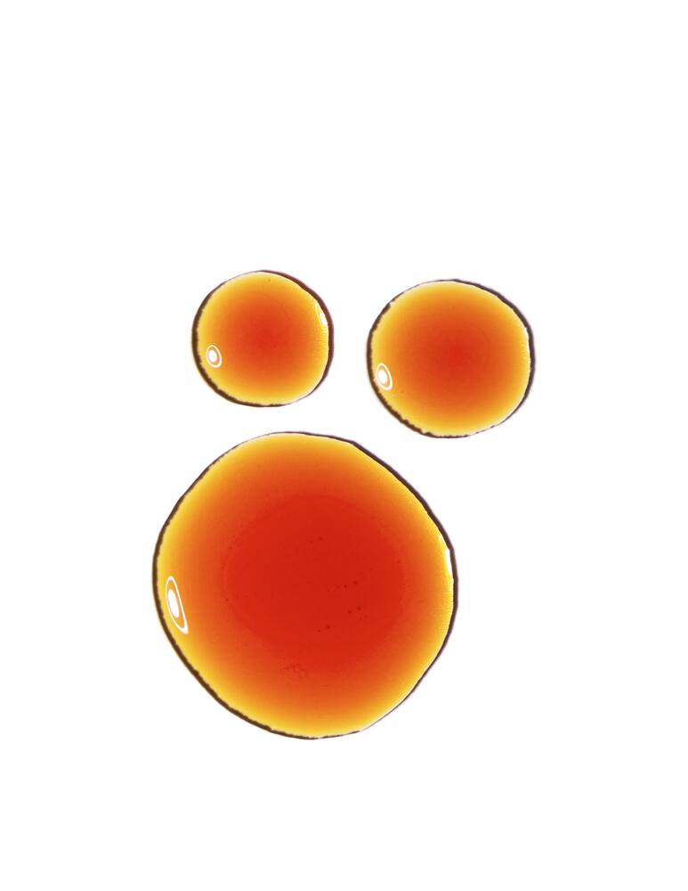 rinascente The Ordinary Pycnogenol 5%