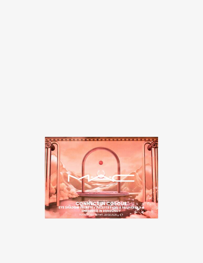 rinascente Mac Connect In Colour Eye Shadow Palette