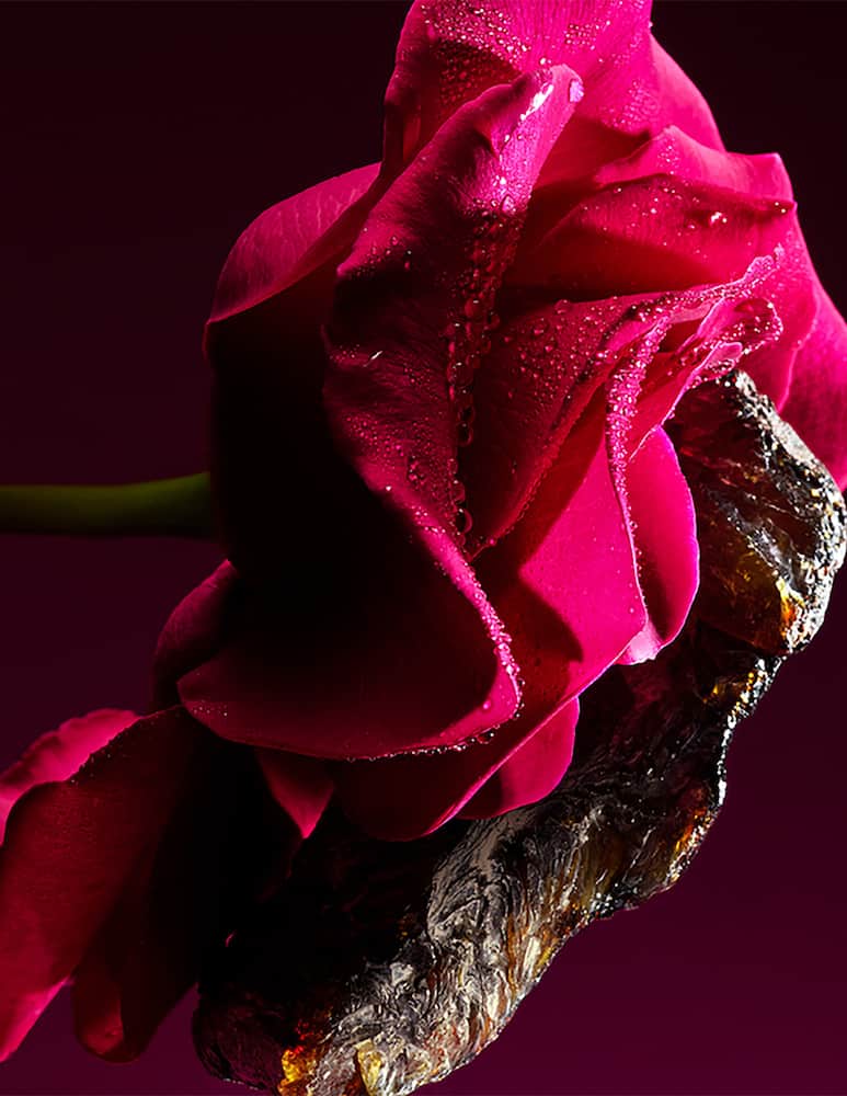 rinascente Bulgari BVLGARI SAHARE Eau de Parfum 60ml