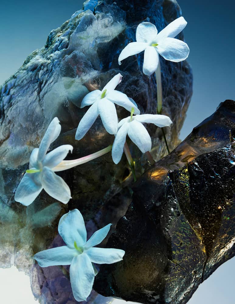 Bulgari Amunae Eau De Parfum - immagine 3