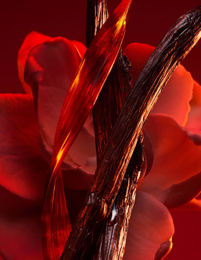 rinascente Bulgari Allegra Baciami Ancora Eau De Parfum