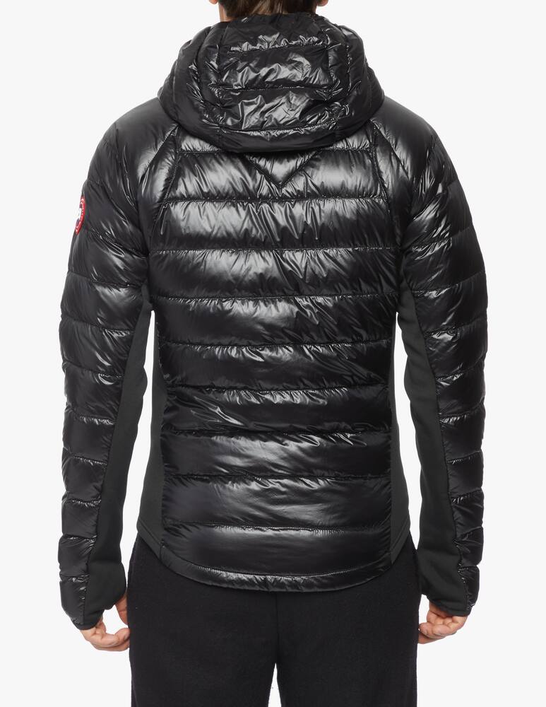 rinascente Canada Goose Hooded Jacket Hibridge