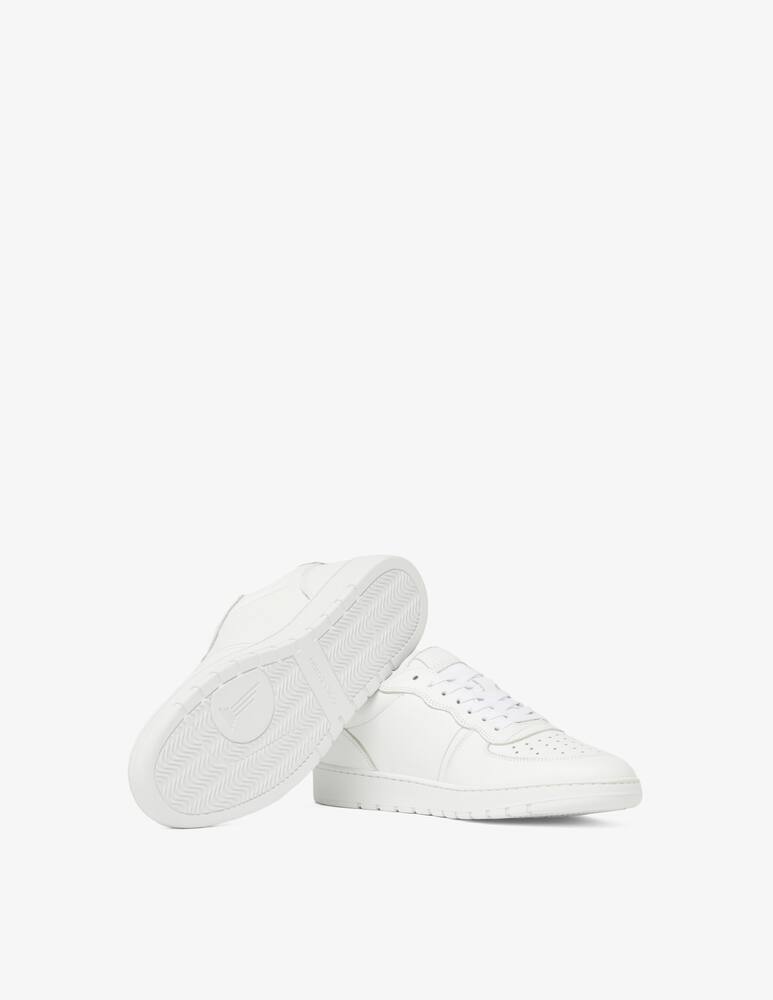 Collegium Sneakers destroyer low - immagine 5 Collegium Sneakers destroyer low - immagine 5