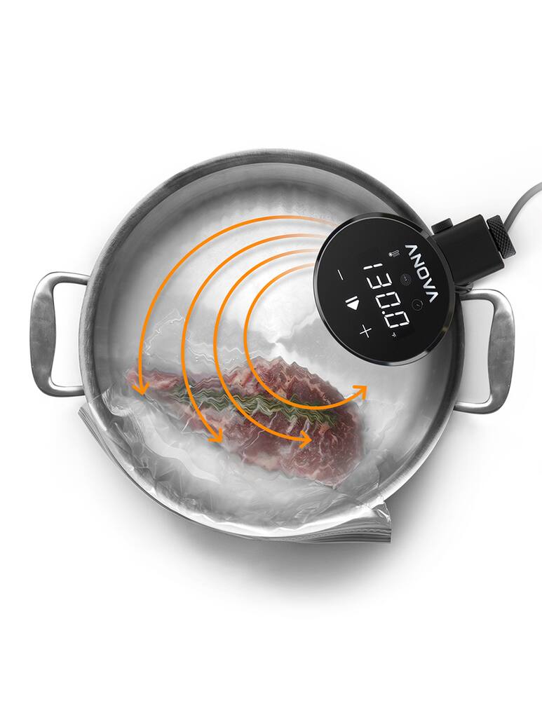 rinascente Anova Precision® Cooker Food Processor - Black