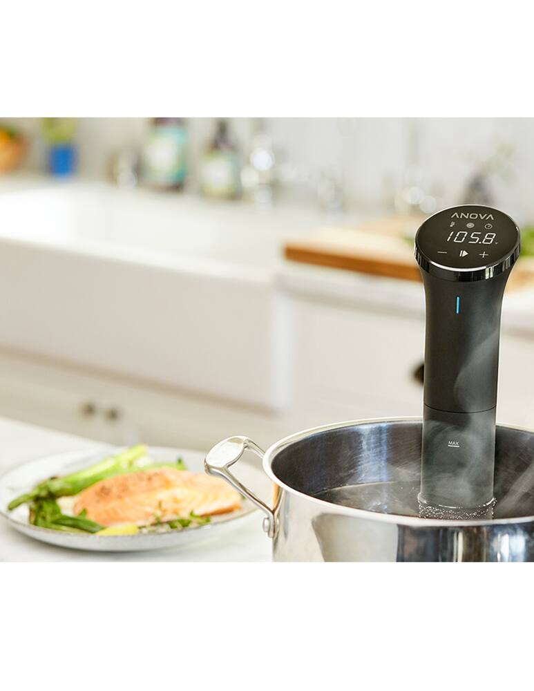 rinascente Anova Precision® Cooker Food Processor - Black