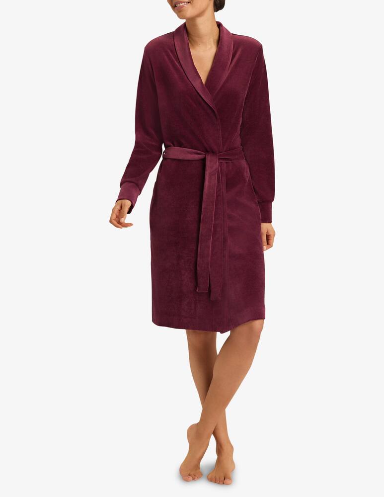 rinascente Hanro Cotton dressing goqn