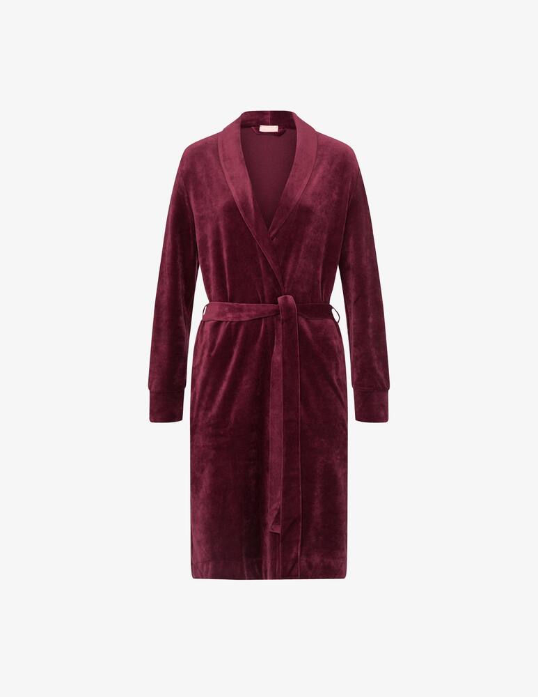 rinascente Hanro Cotton dressing goqn