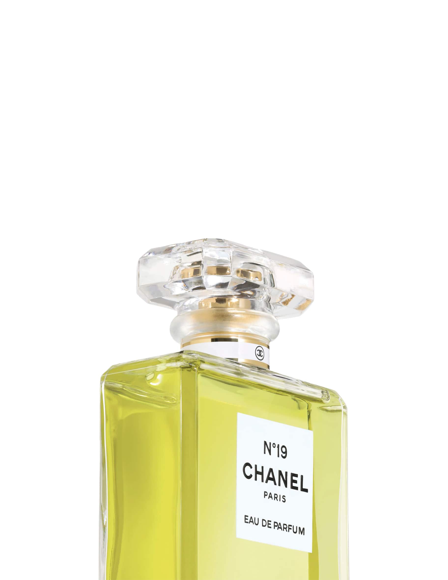 Shop CHANEL N°19 Eau De Parfum Spray on Rinascente